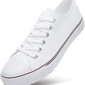 Mens Classic Casual Shoes,Lace-up Fashion Sneakers,Low Top Canvas Sneakers for Men