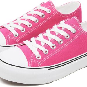 Women Canvas Shoes Low top Sneakers for Women Fashion Casual Shoes Walking Comfortable Shoes